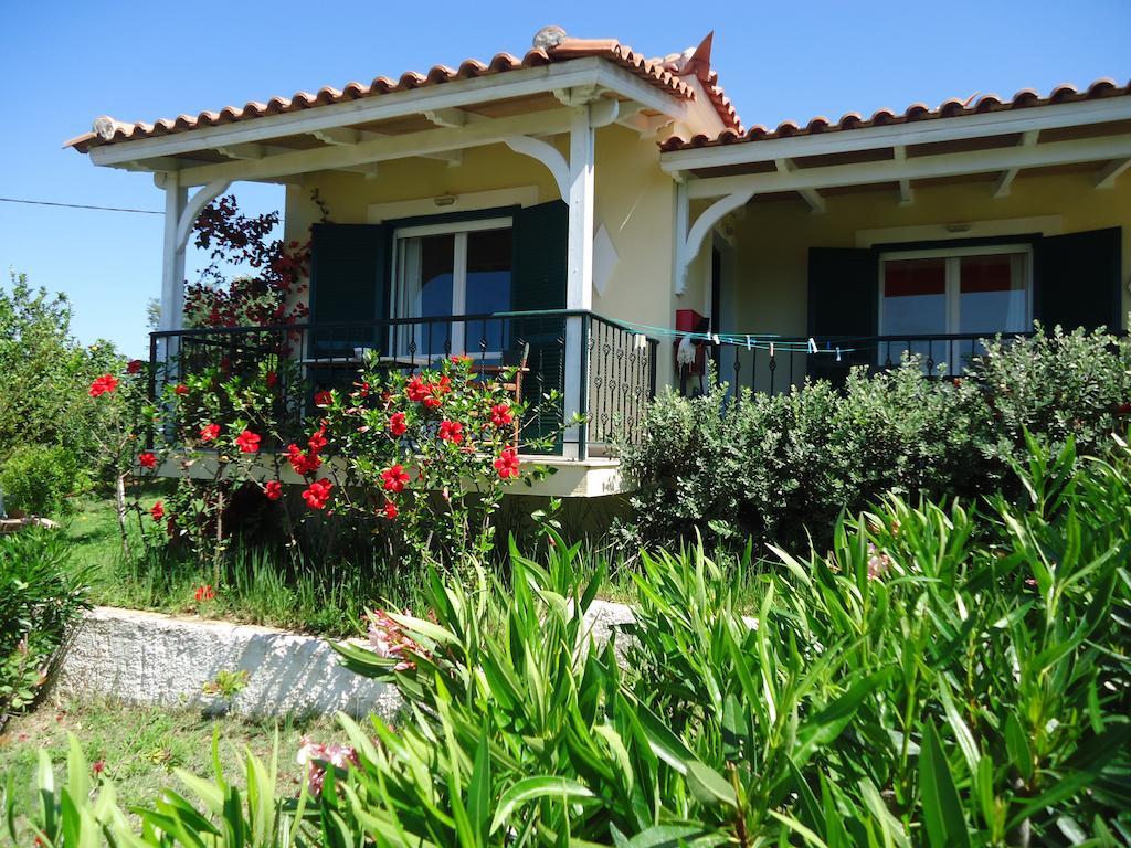 Muses Villas فينيكونتا المظهر الخارجي الصورة