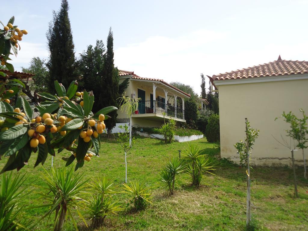 Muses Villas فينيكونتا المظهر الخارجي الصورة